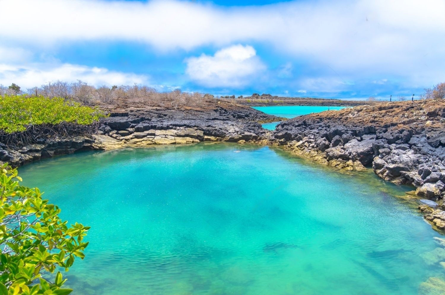 16 T9h1mcIO5 transformed