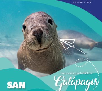 San Cristóbal 3D1 3 360x320