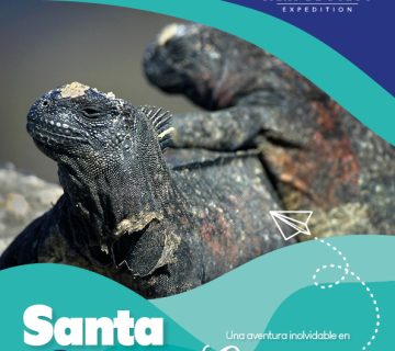 Santa Cruz 4D1 1 360x320