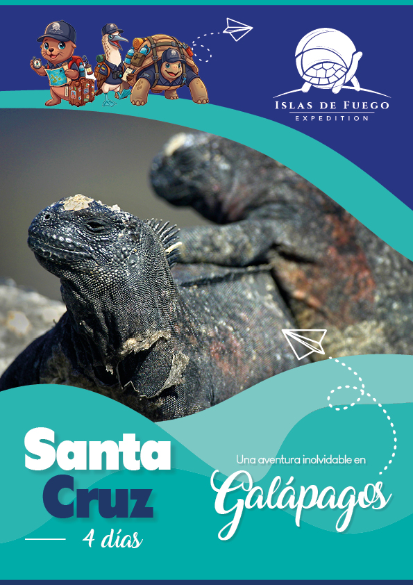 Santa Cruz 4D1