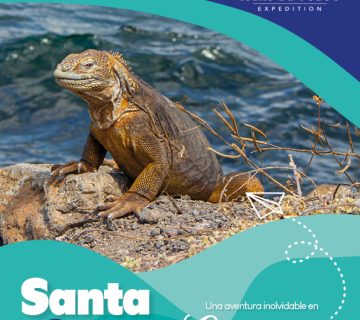 Santa Cruz 5D1 1 360x320
