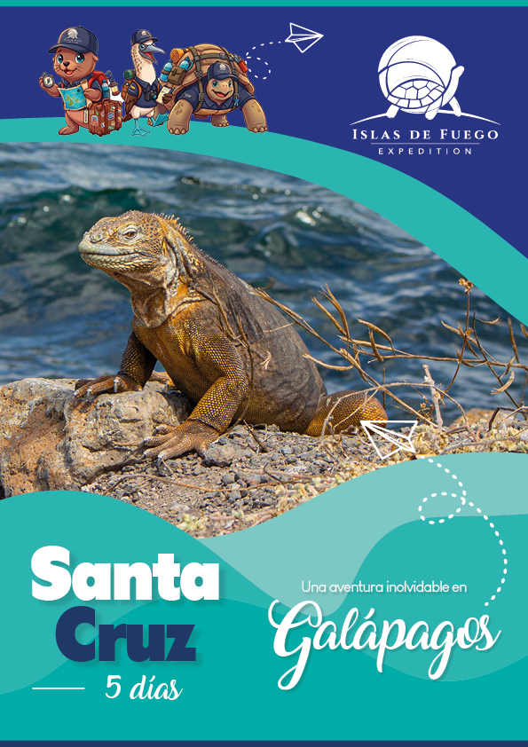 Santa Cruz 5D1