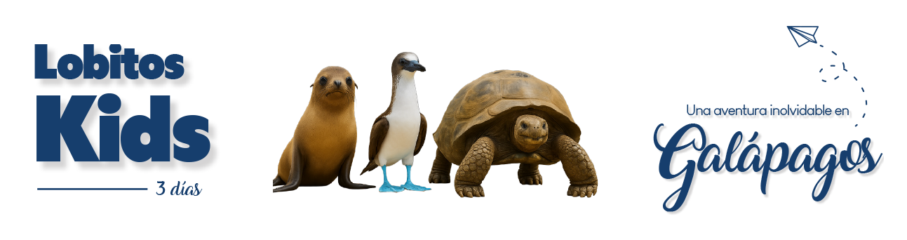 lobitos3 Lobitos3
