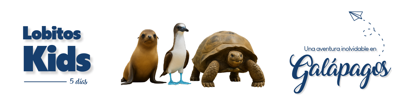 Lobitos5