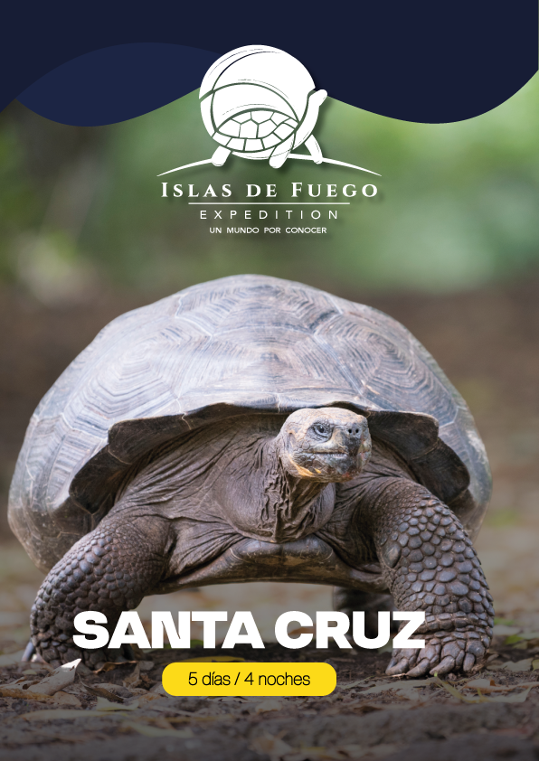 Santa cruz 2