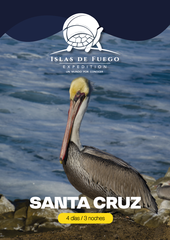 Santa cruz1
